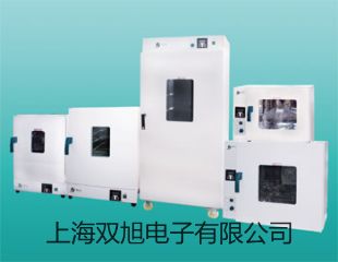 ˫ơˮˮԡBWS-0510