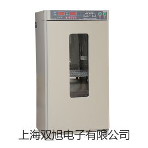 【双旭牌】指针绝缘电阻测试仪BK6132 供应商