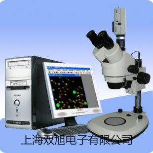 【双旭牌】便携式溶解氧分析仪JPBJ-608参数