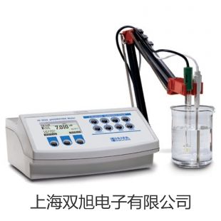 【双旭牌】溶解氧分析仪JPSJ-605供应商