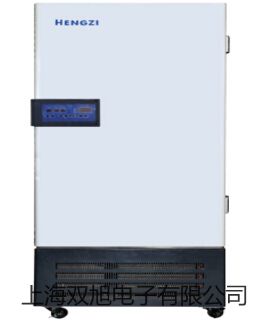【双旭牌】绝缘兆欧表DM508SDM-508S厂家