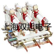 【双旭牌】家庭便携秤CS5000参数