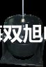 【双旭牌】铠装铂电阻WZPK2-225SA厂家