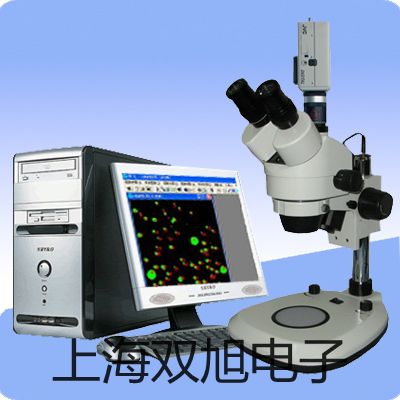 【双旭牌】耐高温电感式接近开关接近传感器耐高温接近开关销售