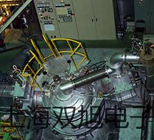 【双旭牌】家庭便携秤CS5000参数