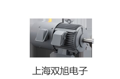 【双旭牌】AD-100非接触红外测温仪,AD-100,AD100价格