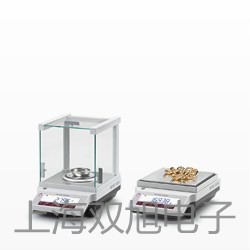 【双旭牌】DNS 606XMDNS606XM压力控制器供应商