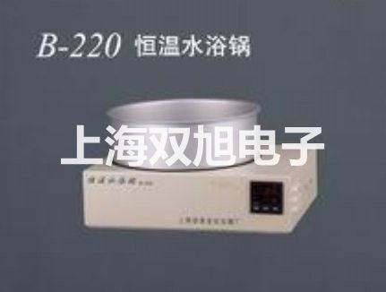 【双旭牌】端面热电阻WZCM、WZPM厂家