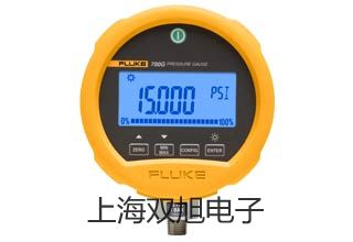 【双旭牌】TPI655TPI-655双通道数字气压表参数