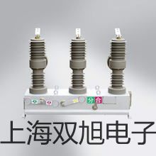 ˫ơ״ŲǸϵ缫65-1C