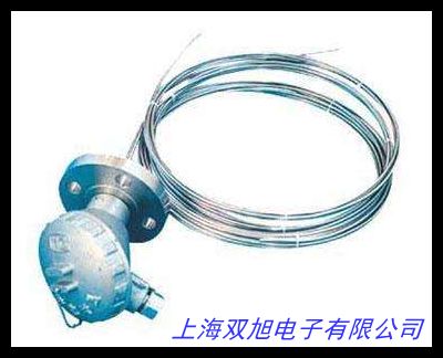 无锡防爆热电偶 防爆型热电阻 铠装热电偶 WZP-420PT100