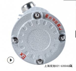 声光报警器BC-2W
