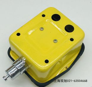ZGBJ-K220声光报警器